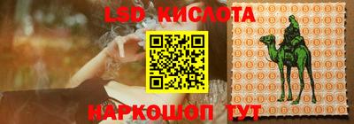 прущие грибы Новокубанск