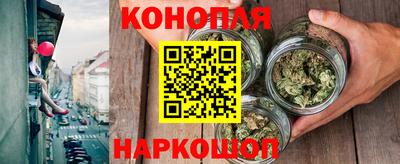 индика Новозыбков
