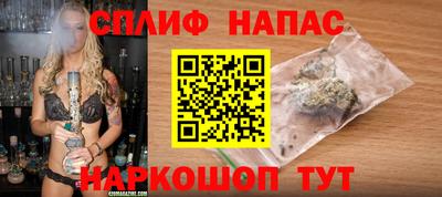прущие грибы Новокубанск