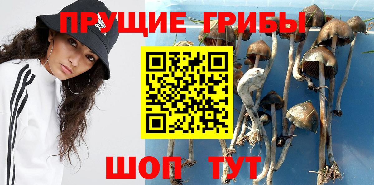 Псилоцибиновые грибы Magic Shrooms Ржев